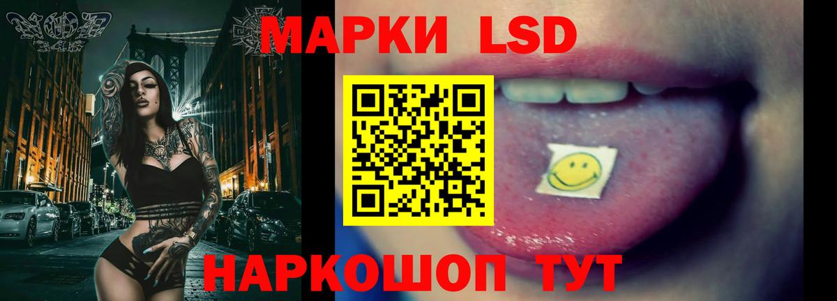 А ПВП Камышлов