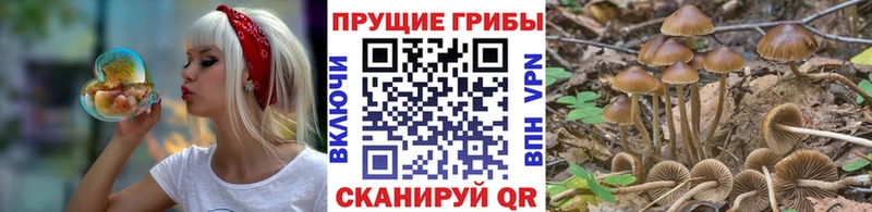 нарко площадка как зайти  Камышлов  Псилоцибиновые грибы мухоморы 