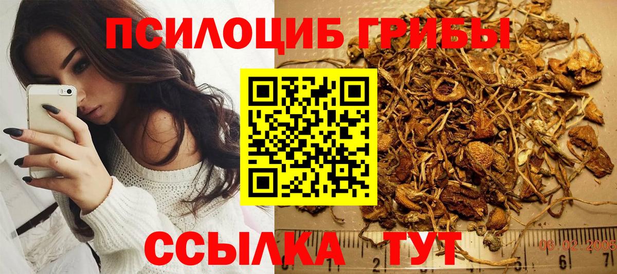 Галлюциногенные грибы Psilocybine cubensis  Псилоцибиновые грибы мицелий  где продают наркотики  Вход с VPN  Камышлов 