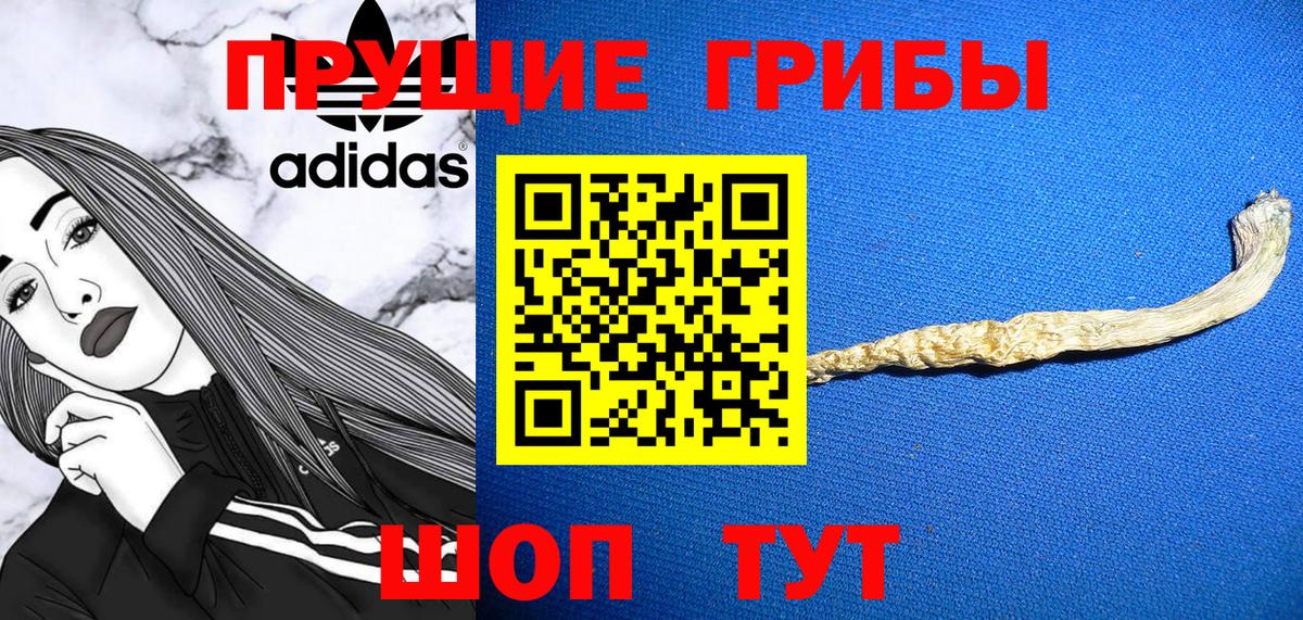 Псилоцибиновые грибы Psilocybe Камышлов