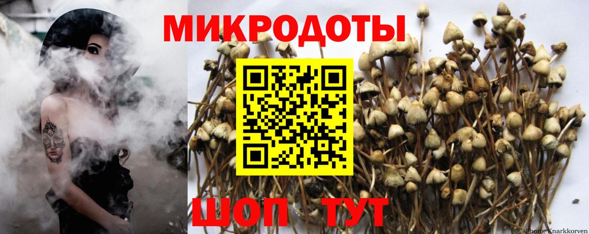NBOMe  ГАШИШ  Вход с VPN  Меф МЯУ МЯУ кристаллы  Камышлов  МДМА 