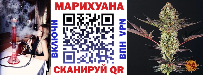 продажа наркотиков Камышлов MEGA рабочий сайт Канабис сатива